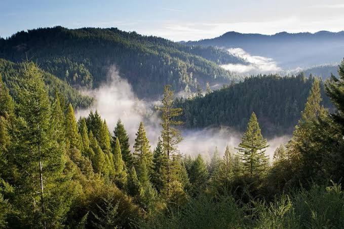 The Nature Dreams I Vacations I Conference I Mice I Family Events I Open Air Terrace I Sky Bonfire I Kufri By Exotic Stays Shimla Exterior photo
