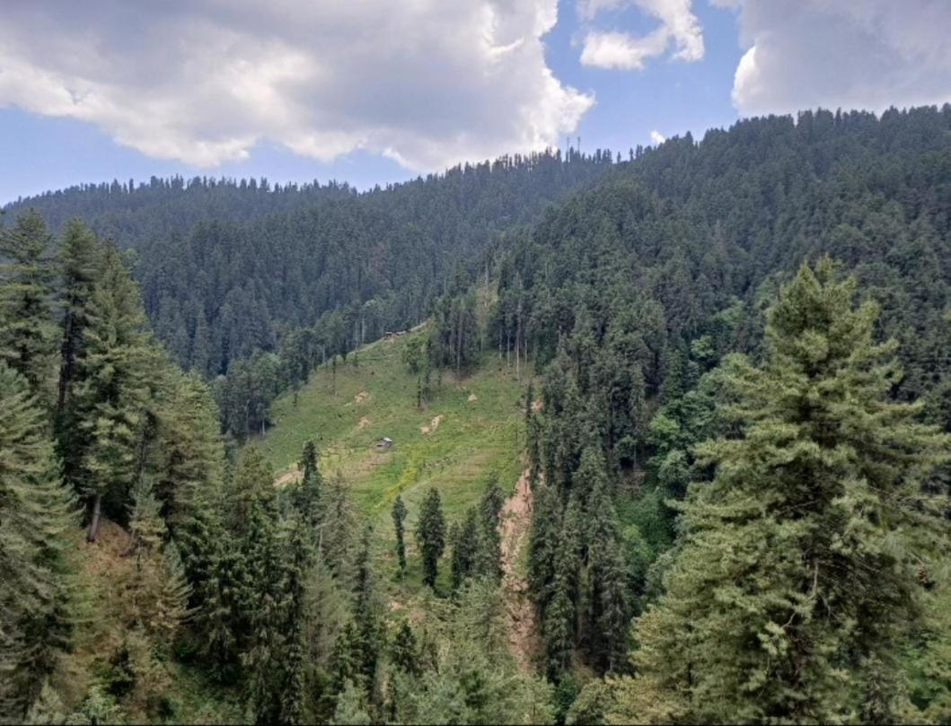 The Nature Dreams I Vacations I Conference I Mice I Family Events I Open Air Terrace I Sky Bonfire I Kufri By Exotic Stays Shimla Exterior photo