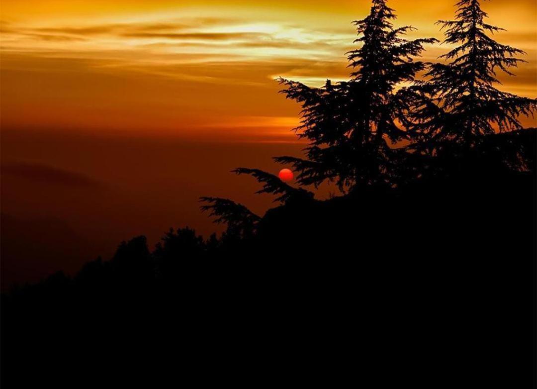 The Nature Dreams I Vacations I Conference I Mice I Family Events I Open Air Terrace I Sky Bonfire I Kufri By Exotic Stays Shimla Exterior photo