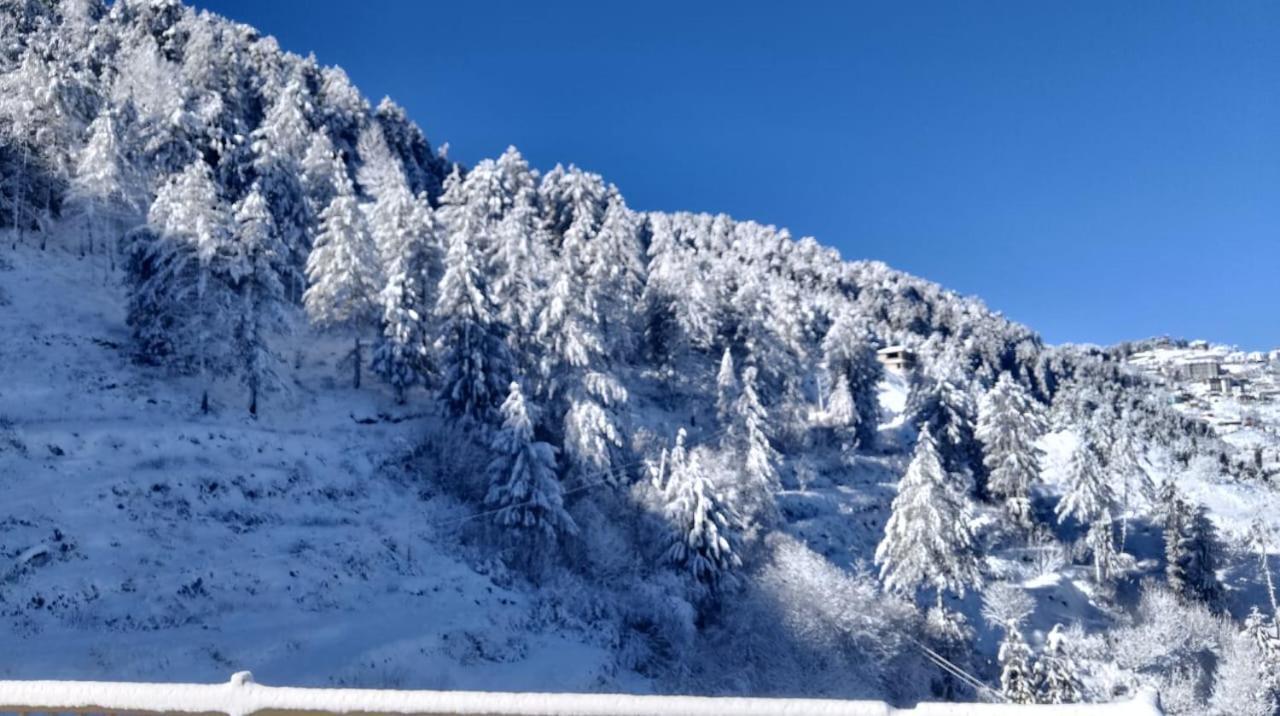 The Nature Dreams I Vacations I Conference I Mice I Family Events I Open Air Terrace I Sky Bonfire I Kufri By Exotic Stays Shimla Exterior photo
